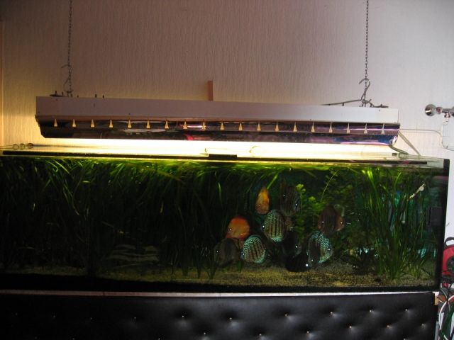 Zuchtanlage - Aquarien und Zubehoer - Erndtebrück