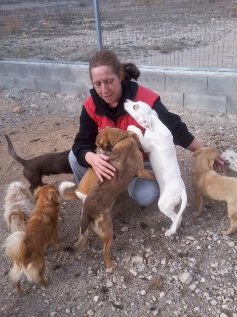 Tiere in Spanien brauchen Hilfe. - Tiere In Not - Deltebre