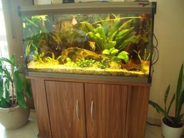 200l hochwertiges Aquarium von Juwel mit integrierter Zeitschaltuhr und Untersch - Aquarien und Zubehoer - Hurlach