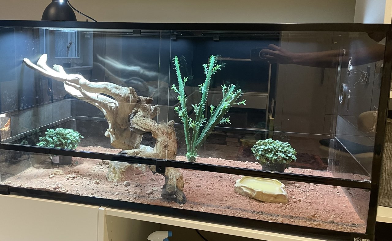 Terrarium inkl. Zubehör ideal für Reptilien, abzugeben - Reptilien - Frankfurt am Main