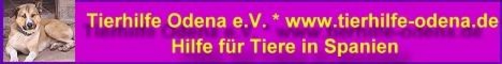 Dringend Flugpaten gesucht - Flugpaten - Karlsfeld