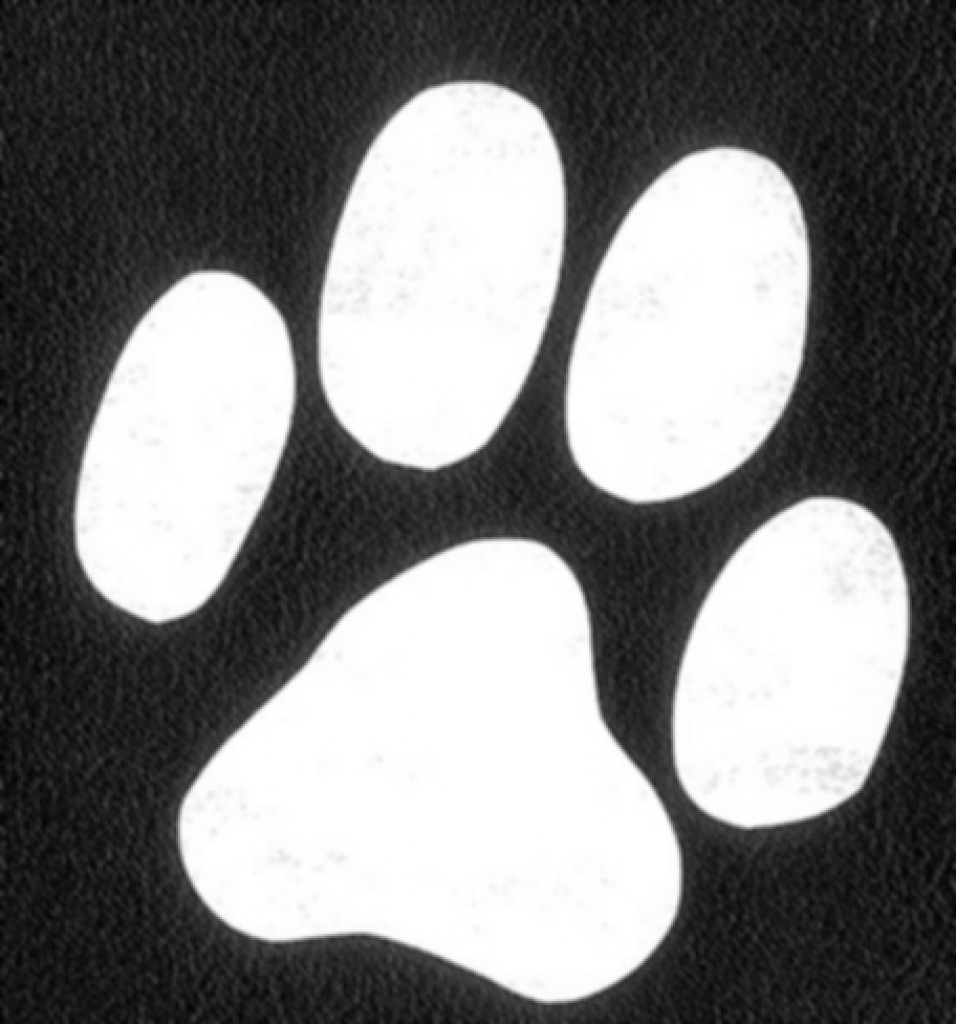 Petdomain.de Heimtierbedarf - Click und Schick - Zoohandlungen - Bünde