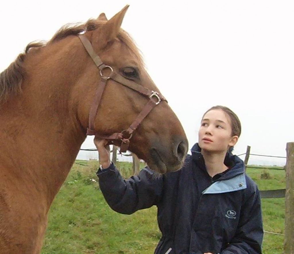 Suche Reitbeteiligung oder Pflegepferd - Pferde - Kelkheim Taunus