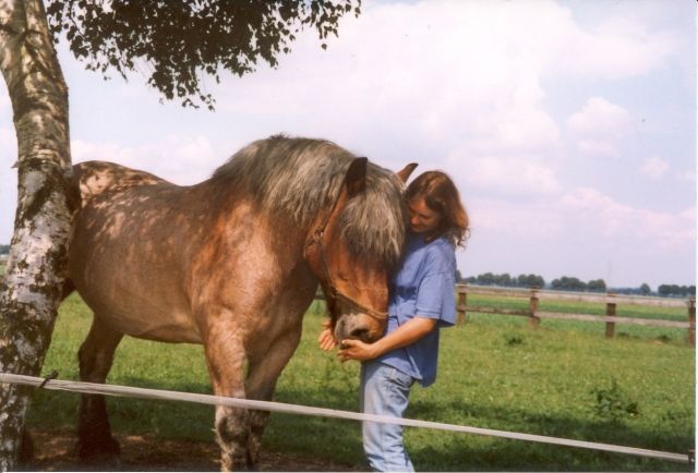Energetische Tierheilung - Tiere In Not - Emmelshausen
