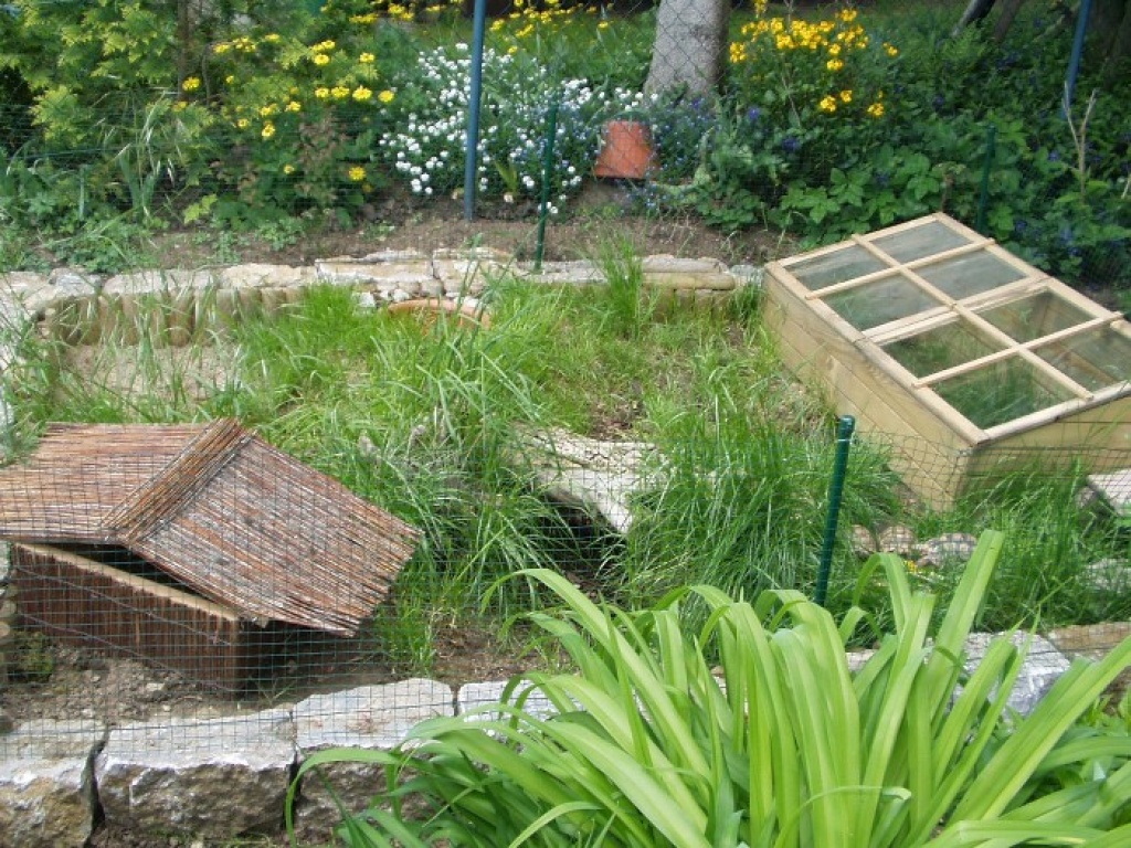 Nehme Landschildkröten auf. FREILANDGEHEGE. in gute Hände!!! - Reptilien - Reichenberg