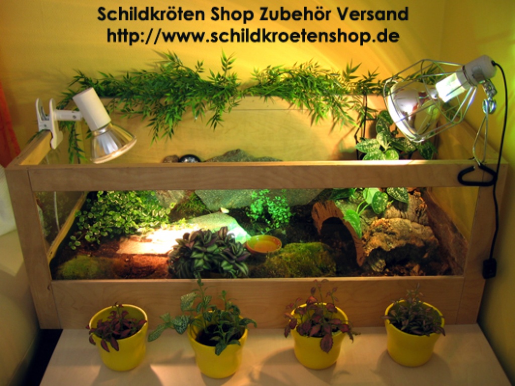 Schildkröten Shop Landschildkröten Zubehör Versand - Reptilien - Heilbronn