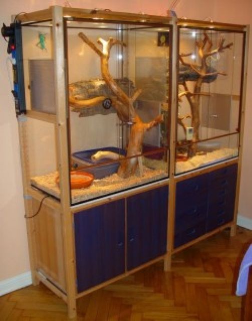 Zwei Vollglashochterrarien 80 x 50 x 100 - Terrarien - Berlin