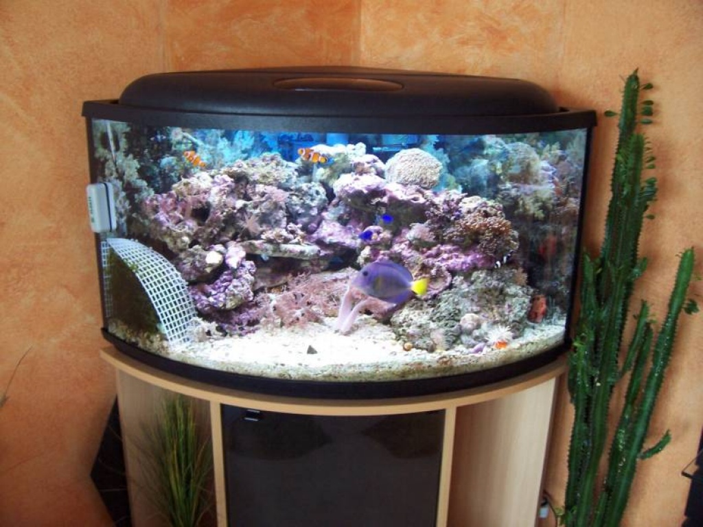 Verkaufe Eckaquarium mit Unterschrank und Beleuchtung - Fische - Tirschenreuth