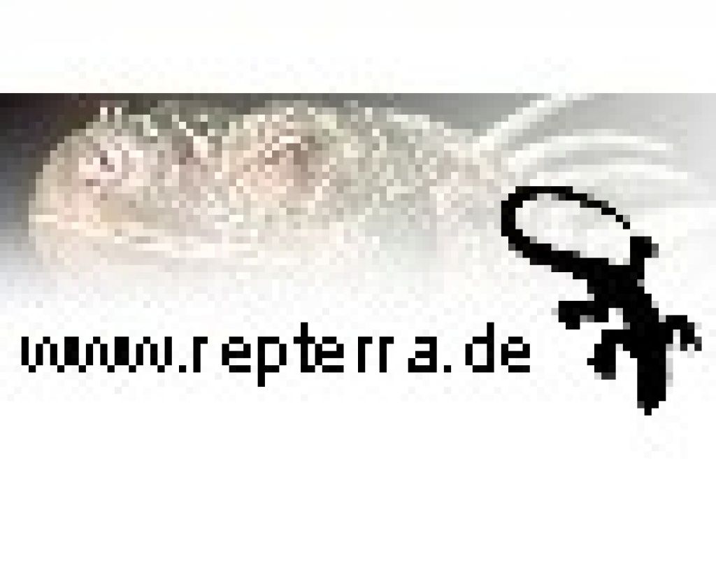 Alles für Reptilien! - Zoohandlungen - Gomaringen