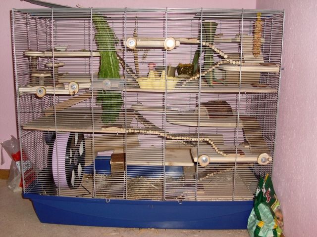 RIESIGER Hamster / Mäusekäfig mit SEHR VIEL ZUBEHÖR - Hamster - Hannover
