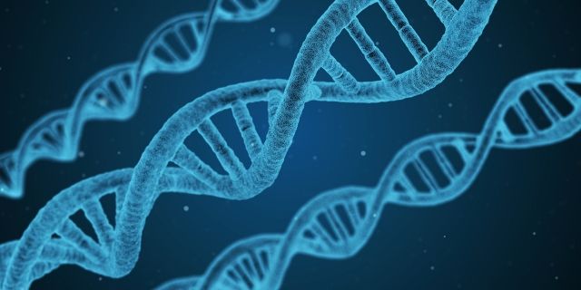 Bioresonanzlabor für Tiere - Sonstige Haustiere - Nassenausen