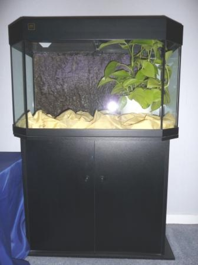 Juwel Aquarium Panorama 80 - Fische - Bremen