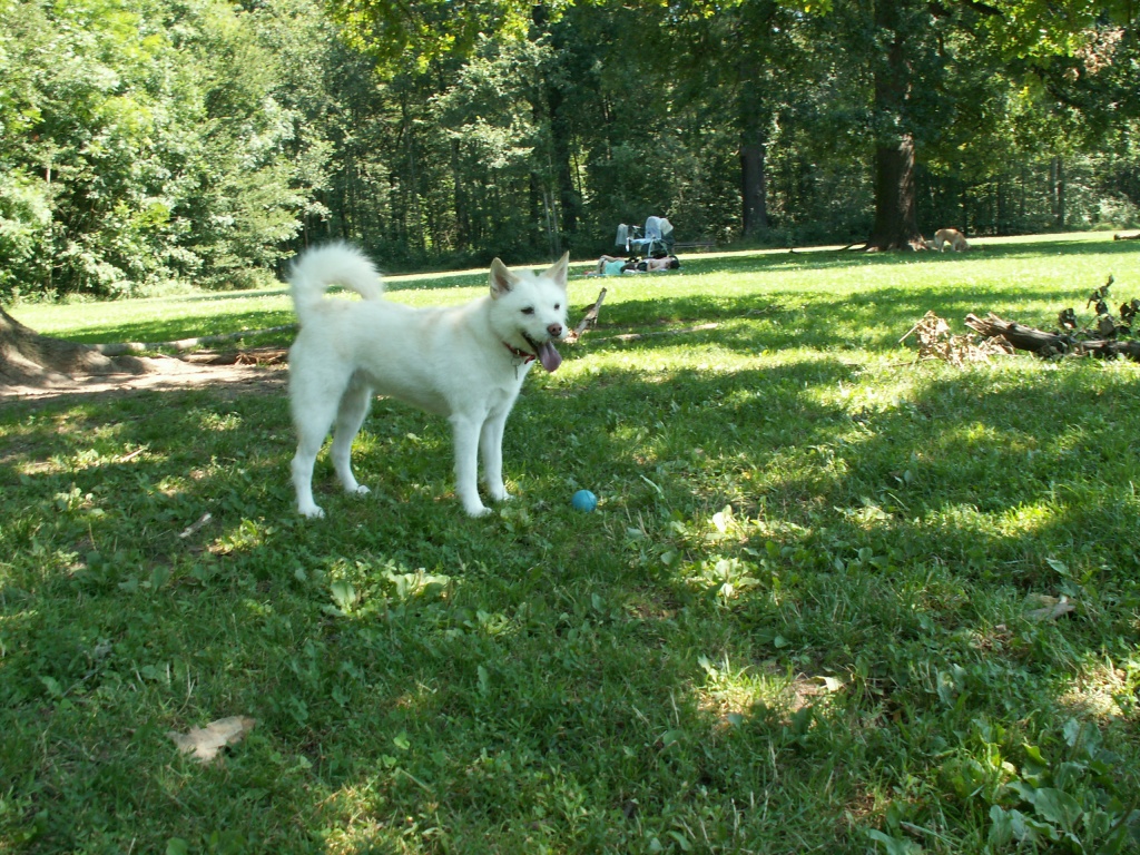 Flugpate ab Berlin nach Barcelona gesucht!! - Flugpaten - Barcelona