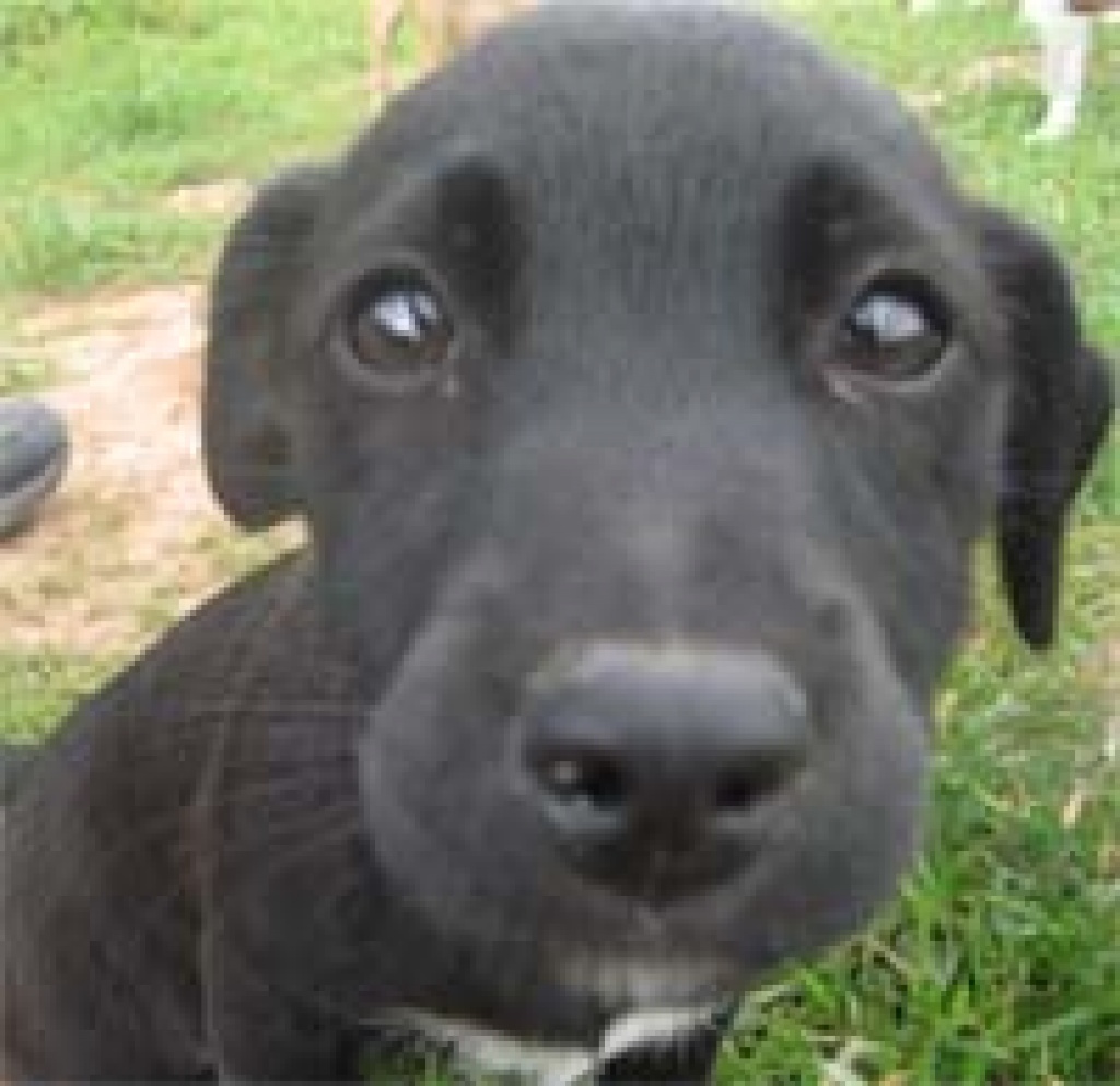 Flugpate Mallorca - Stuttgart Ende November gesucht! - Flugpaten - Aspach