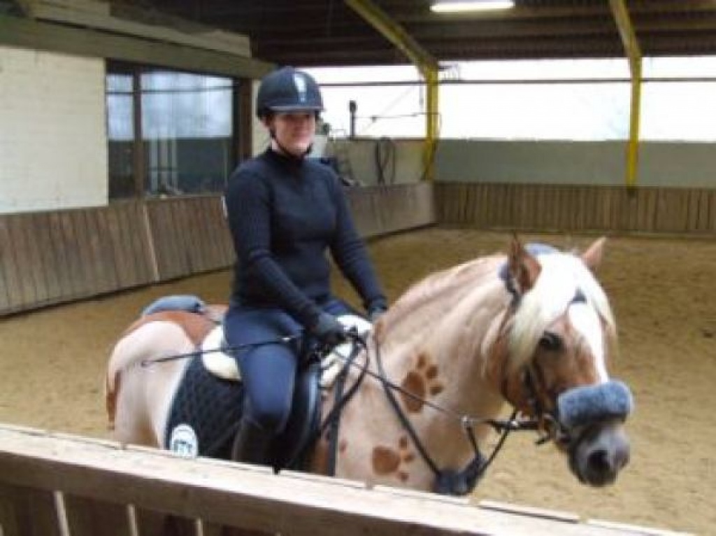 Reitbeteiligung - Pferde - Drensteinfurt