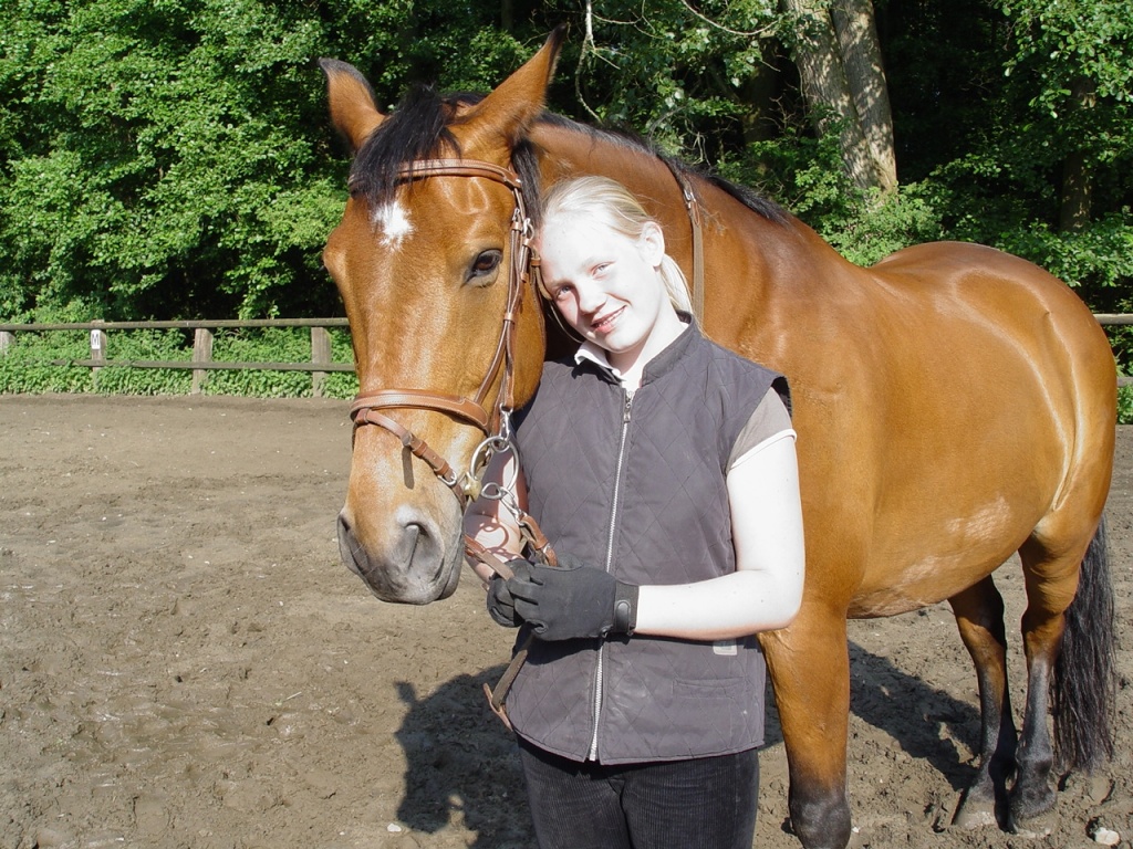 Suche Reitbeteiligung - Pferde - Recklinghausen