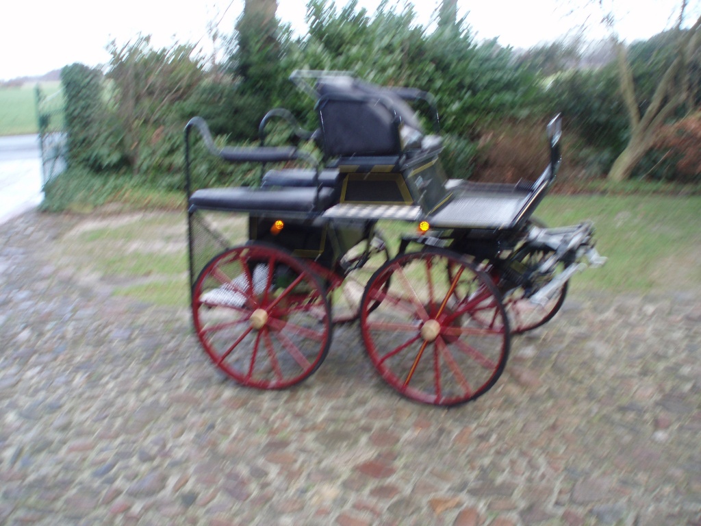 Marathonwagen - Pferde - Hude Oldenburg