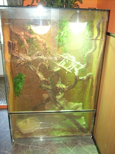 Volleingerichtetes Terrarium 150x100x50cm- TOP!!!! - Terrarien - Duisburg