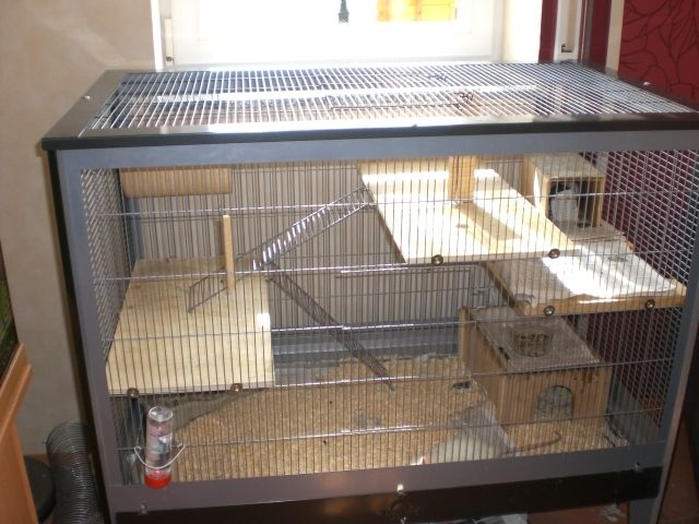 Rattenkäfig, Zubehör und evtl. Ratten zu verkaufen - Ratten - Speicher