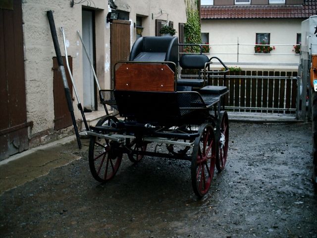 Marathonkutsche von Lessing - Pferde - Sachsenheim