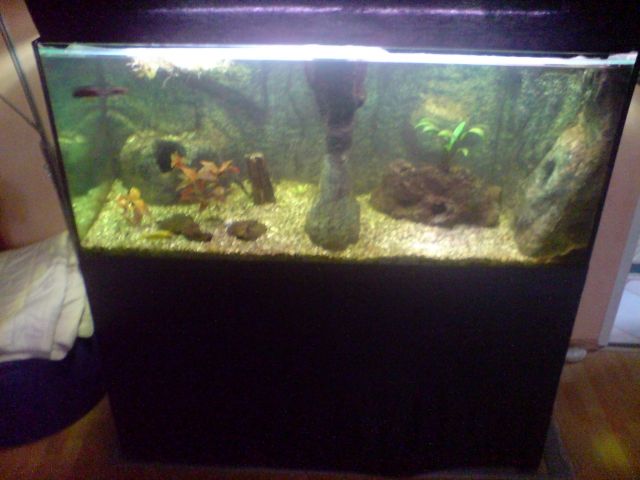 540l Auqarium, Untergestell incl Mehrkammerfilter   Zbh - Aquarien und Zubehoer - Werbach