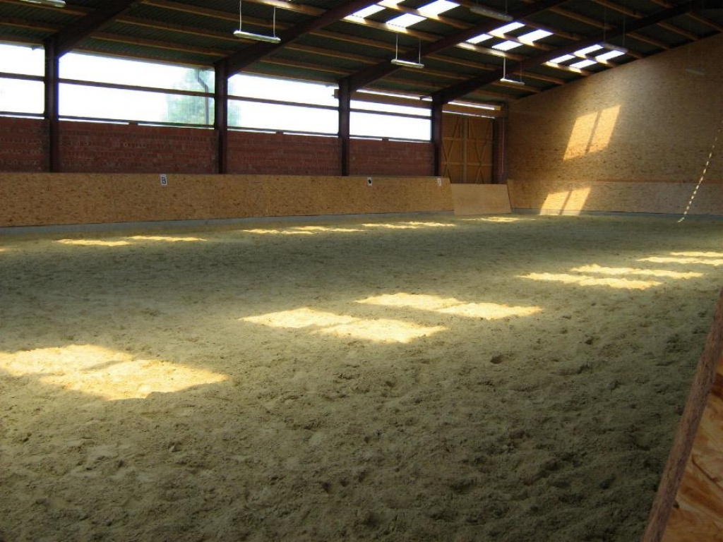 Stallgemeinschaft in Castrop-Rauxel hat noch Boxen frei! - Pferde - Castrop Rauxel