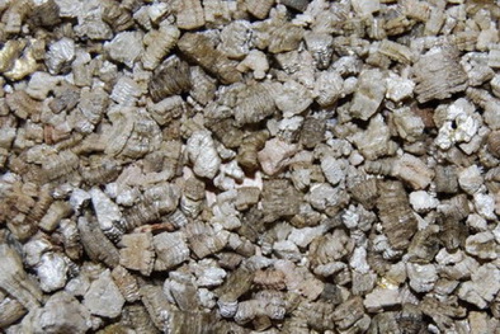 Vermiculite in verschiedenen Körnungen - Insekten - Berlin