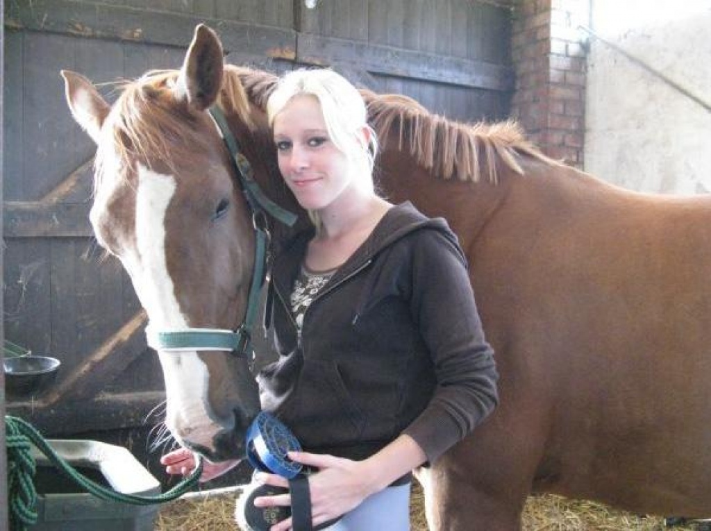 Suche Reitbeteiligung/Pflegepferd - Pferde - Rostock