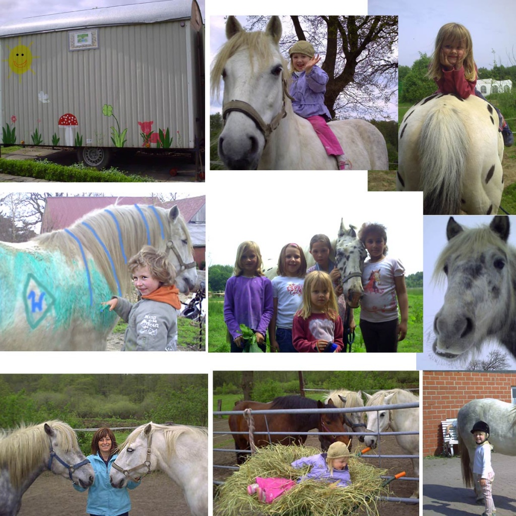 Kindergeburtstag mit Ponyreiten in 28790 Schwanewede - Reitunterricht - Schwanewede