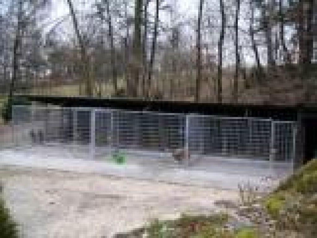 Hundepension-Hundebtreuung - Pflegestellen - Offenberg
