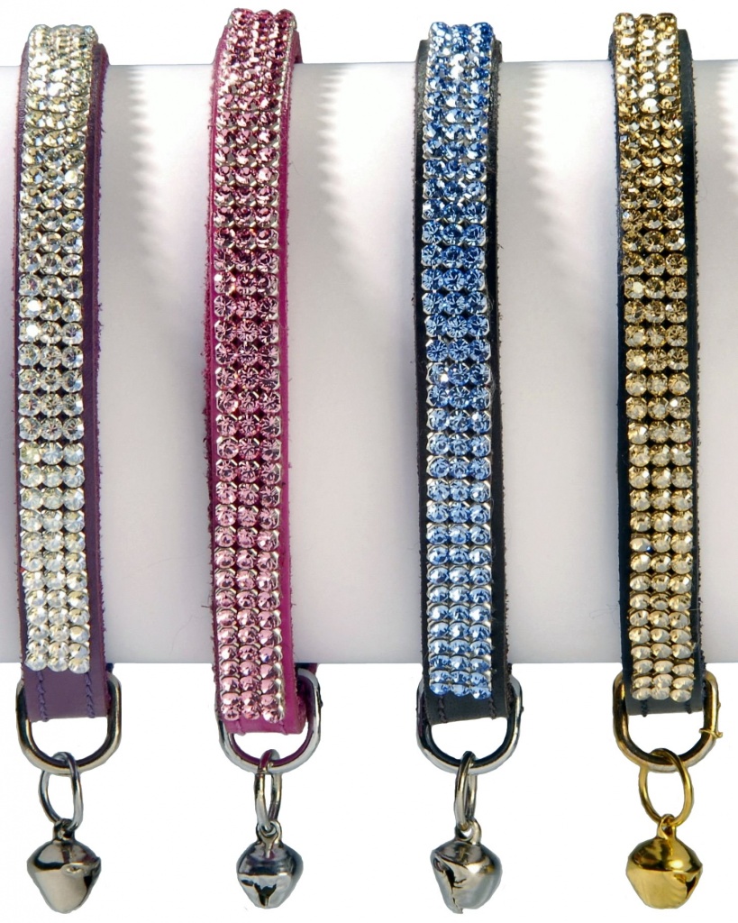 Französischer Lifestyle für Hund und Katze - Katzen - Bamberg