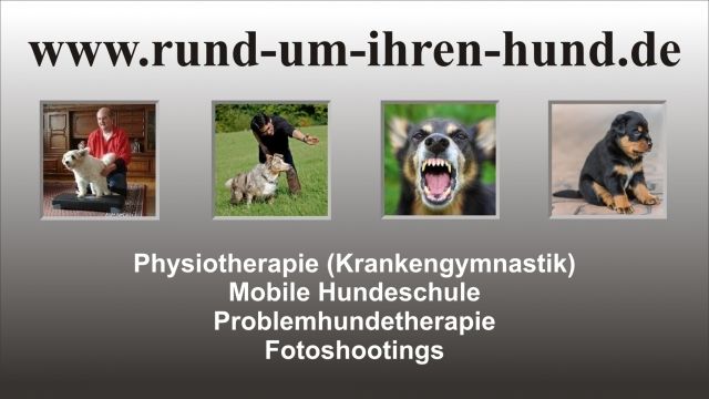 Physiotherapie, mobile Hundeschule, Problemhundetherapie, Fotoshootings - Sonstiges - Lippstadt