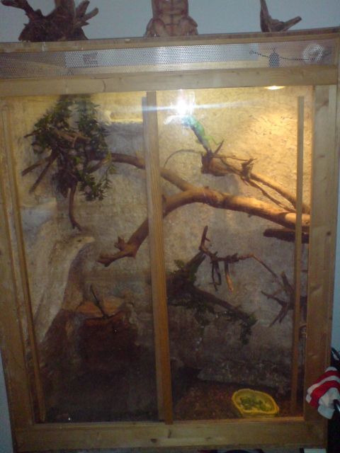 Großes Terrarium zu verkaufen...auf Wunsch mit Grünen Leguan - Terrarien - Arnstadt