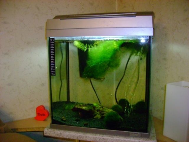 30 L Komplett Aquarium zu verkaufen ! - Aquarien und Zubehoer - Singen am Hohentwiel