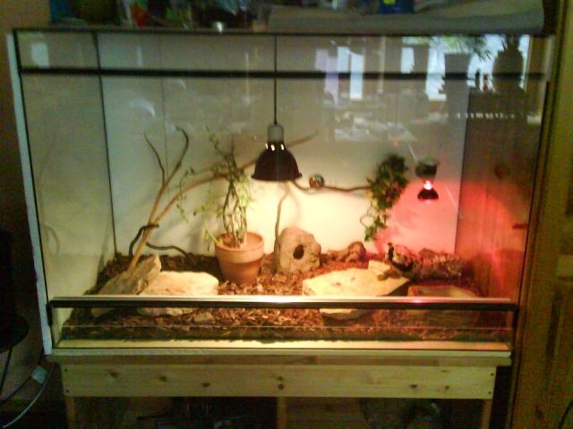 ** Terrarium (120 x 60 x 80) + Zubehör ** - Terrarien - Wallertheim