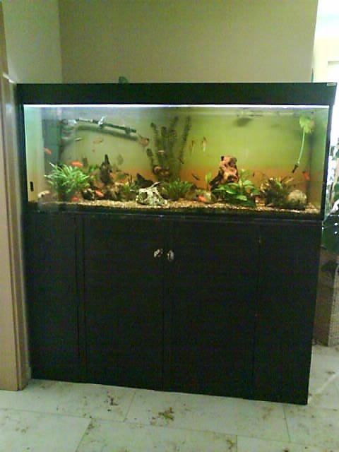 Verkaufe 580 Liter Aquarium! - Aquarien Zubehoer - Germaringen