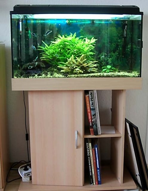  Verkaufe Aquarium - Aquarien und Zubehoer - Münster