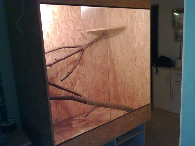 Großes Holzterrarium mit boa con. imp - Terrarien - wesseling