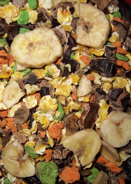 EICHHÖRNCHEN FRÜCHTE-MIX Artgerechtes Zusatzfutter auch für andere Nager und  - Zubehoer für Haustiere - Martfeld