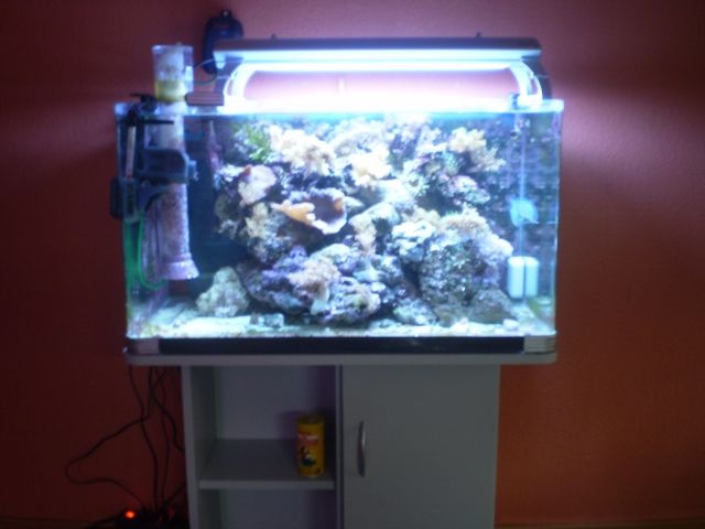 Meerwasseraquarium komplett - Aquarien und Zubehoer - Erfurt