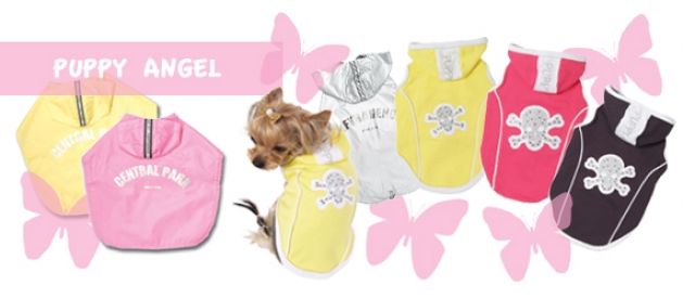 Chihuahua Shop Espadon Frühlingskollektion - Zubehoer Haustiere - Bremgarten