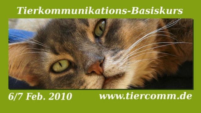 Tierkommunikations Basiskurs 6/7 Feb. Emden / Niedersachsen - Sonstige Haustiere - Hatten