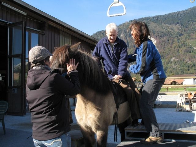Hippotherapeut/in gesucht für Sommer 2013 - Pferde - Didderse