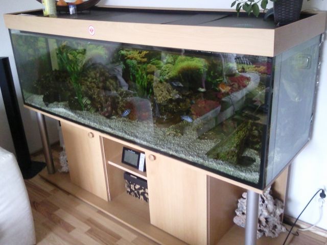 Aquarien und Zubehoer Kleinanzeigen Aquarien und Zubehoer Annoncen