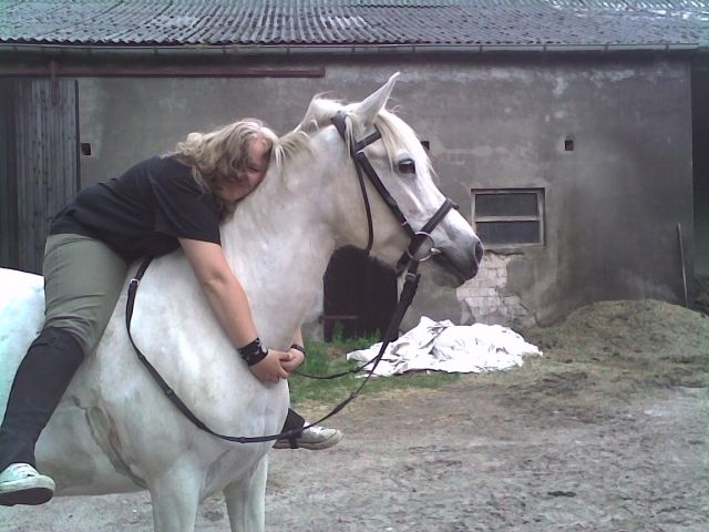 Suche: Reitbeteiligung... - Reitbeteiligung - Bremen-Arbergen