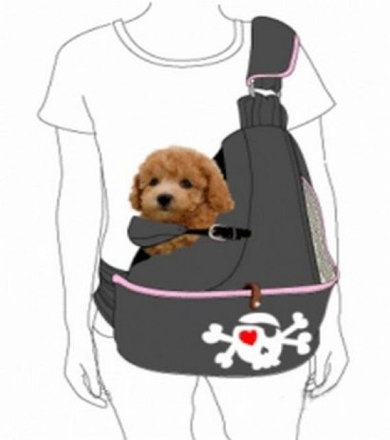 Pet Pack - die neue Generation der innovativen Hundetasche - Zubehoer Haustiere - Castrop-Rauxel