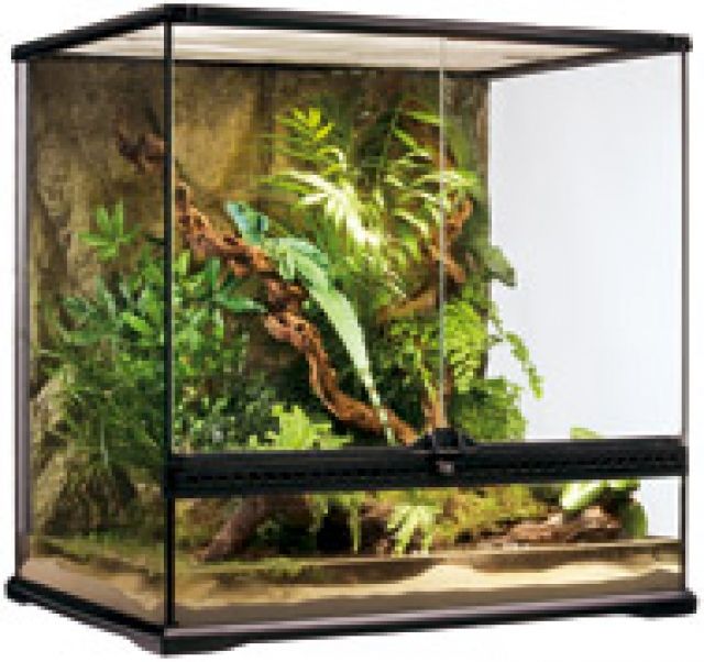 Terrarium 30x30x30 - Terrarien - Berlin