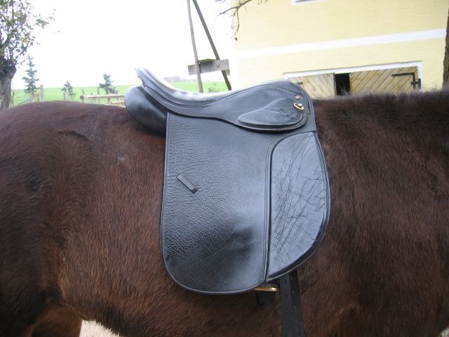 Champion Rider Sattel - Pferde - Köstendorf
