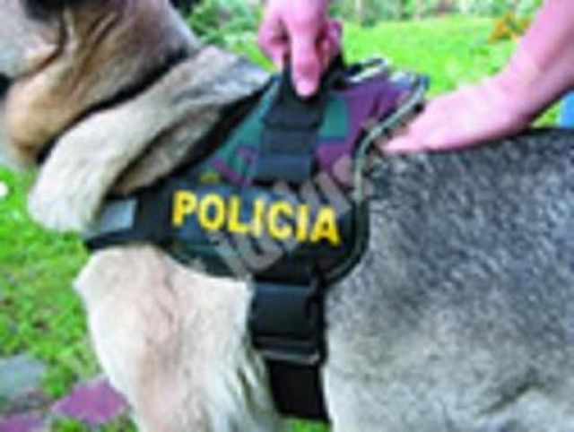 K9-Powergeschirre grösse 3 - Zubehoer für Haustiere - Wien