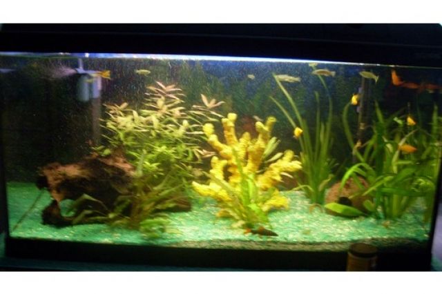 ......verkaufe Water Home Aquarium + Zubehör...... - Aquarien und Zubehoer - Halle Saale